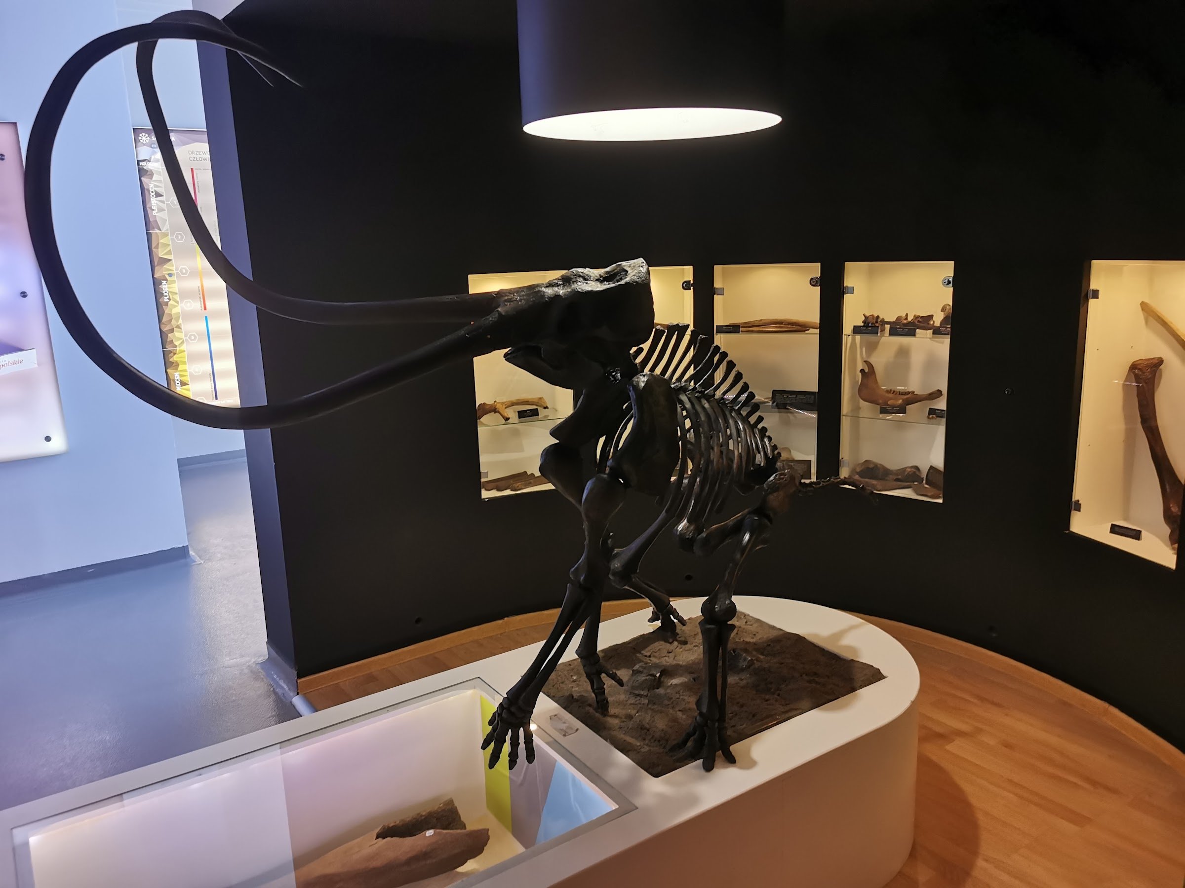 PGE Power Giants (Giganty Mocy)